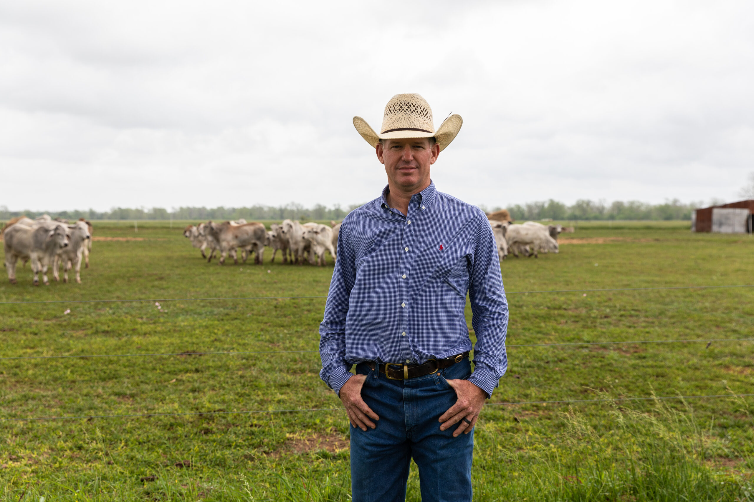 John Locke standing in front of his herd at JD Hudgins Ranch